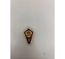Значок мет. Гробик "Сред. мед. образов" (алюм.)